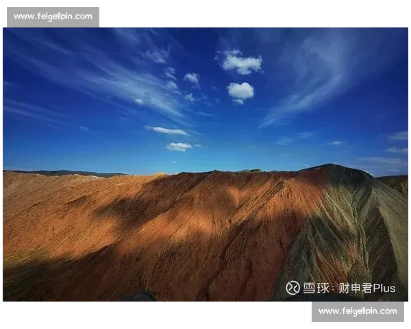 体育粉丝经济新动能探索：如何通过数字化转型提升粉丝参与和品牌价值